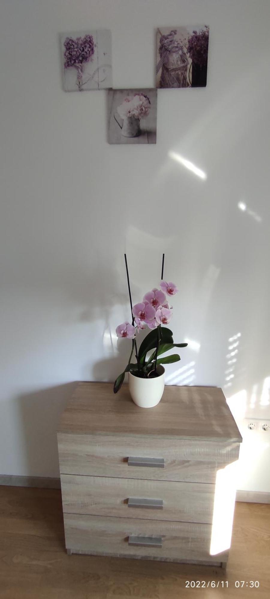 Apartment Zelena Oaza Sisan 75 M2 - 2 Bedrooms Kültér fotó